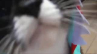 Ютуб приколы видео до слез РЖАКА 2017 ПОДБОРКА ПРИКОЛОВ Фактор Смеха Ютуб приколы видео до слез РЖАКА 2017 ПОДБОРКА ПРИКОЛОВ Фактор Смеха