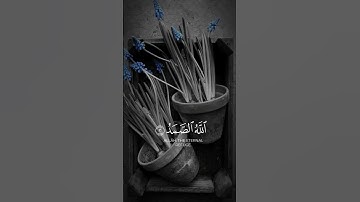 قُلْ هُوَ اللّـٰهُ اَحَدٌ (1)  سورة الإخلاص/ #قوالب_قرآن_كريم/ عامر السعيدي