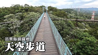 Walking less than 10 minutes, you can easily enjoy the tung flowers in the Jiuhashan Skywalk by Tony Huang 51,946 views 3 weeks ago 10 minutes, 16 seconds