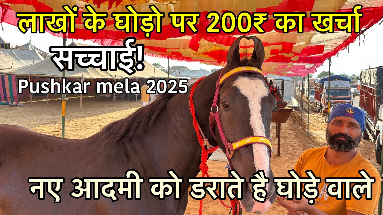 लाखों के घोड़ो पर आता है केवल ₹200 का खर्चा बता दी सच्चाई | 4 ज्ञान की बातें | Pushkar mela 2025