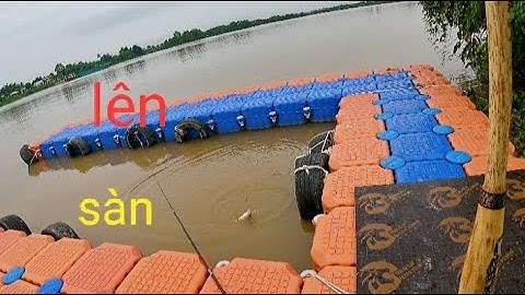 Câu cá bãi mới câu cần tay quá ngon//câu cá sông Đồng nai