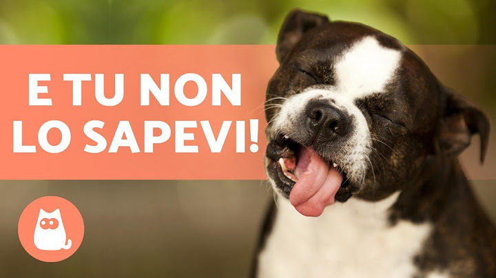8 ODORI che i cani NON SOPPORTANO🐶❌