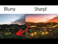 Sharpening Mistakes Every Photographer Needs To Avoid!