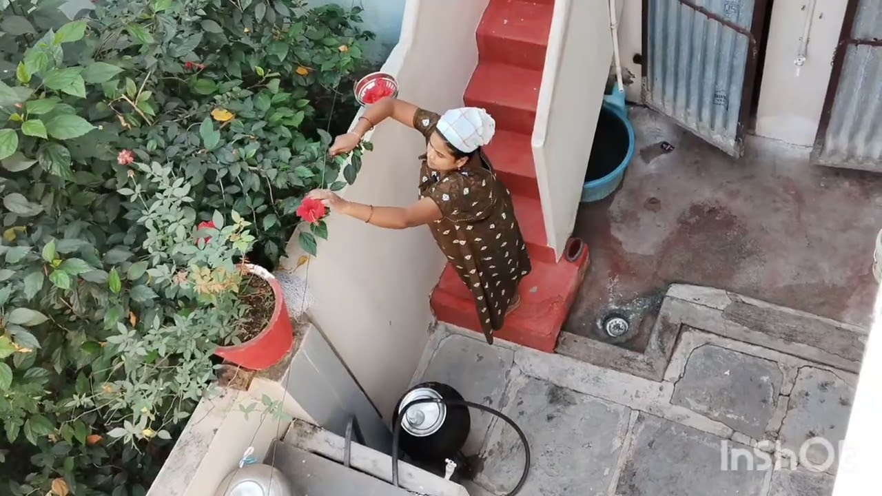 మంగళవారం స్పెషల్ దోస ❤️❤️