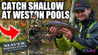 CRAZY shallow fishing in winter | Niall Evans at Weston Pools