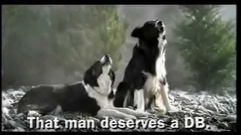 DB Draft Earned advertisement 2002