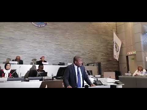 Nkosindiphile Xhakaza addresses coucil as mayor