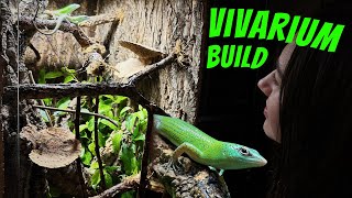 I Built a Vivarium for EMERALD TREE SKINKS, Here’s How!