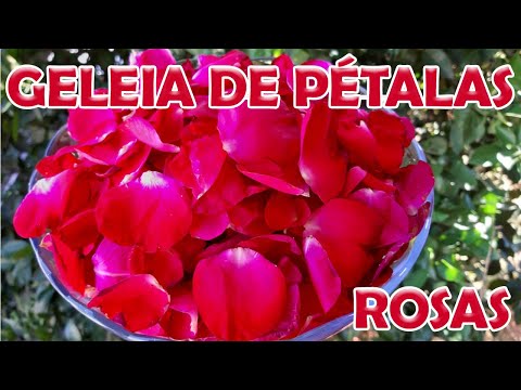 Vídeo: Como Fazer Geléia De Pétalas De Rosa
