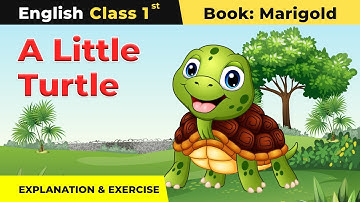 Class 1 English Unit 8 | A Little Turtle Poem - Explanation and Exercise | Marigold Book