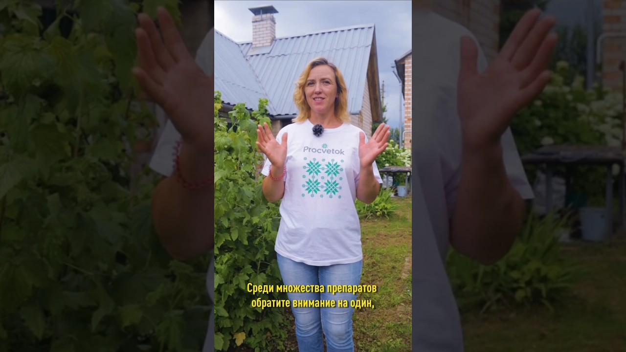 Стоп, болезни и вредители! Один препарат от всех проблем в саду и огороде!