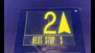 Next Stop Three