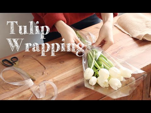 초간단 튤립 꽃다발, 꽃다발 포장, Flower Wrapping