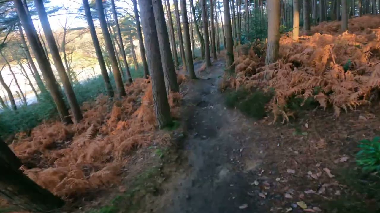 Snowy Slippery Surrey Hills