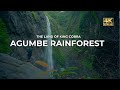 Agumbe rain forest  land of king cobra  4k  vlog70