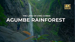 Agumbe Rain Forest | Land Of King Cobra | 4K | Vlog#70