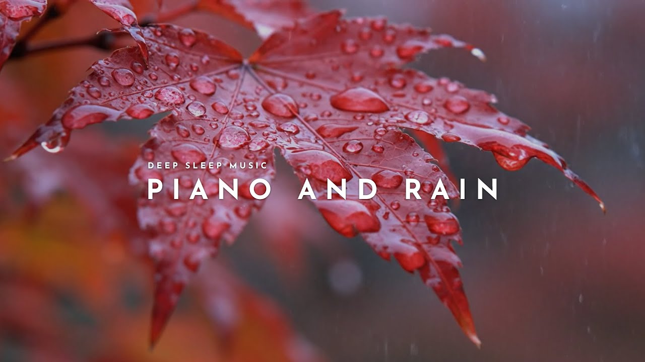 Peaceful Rain Sound 🌧️ Piano for Meditation & Sleep