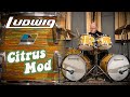 70s Ludwig Double-Bass Drum Kit &amp; Jazzfest Snare - RARE Citrus Mod