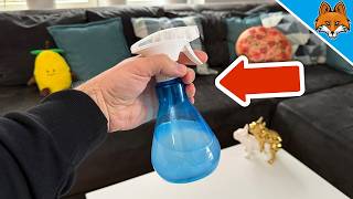 Your Apartment Has NEVER Smelled This Good💥(Secret Trick)🤯