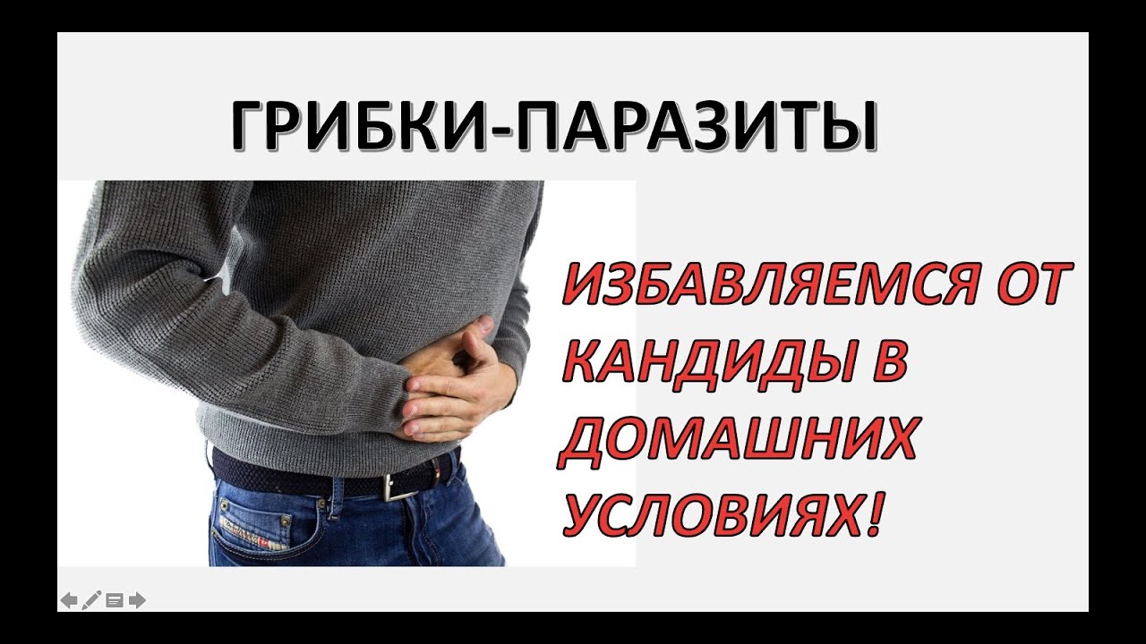 Кандида суппорт как принимать