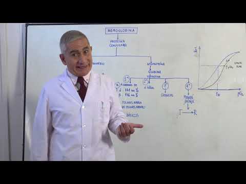 Vídeo: Diferencia Entre Hemoglobina Oxigenada Y Desoxigenada