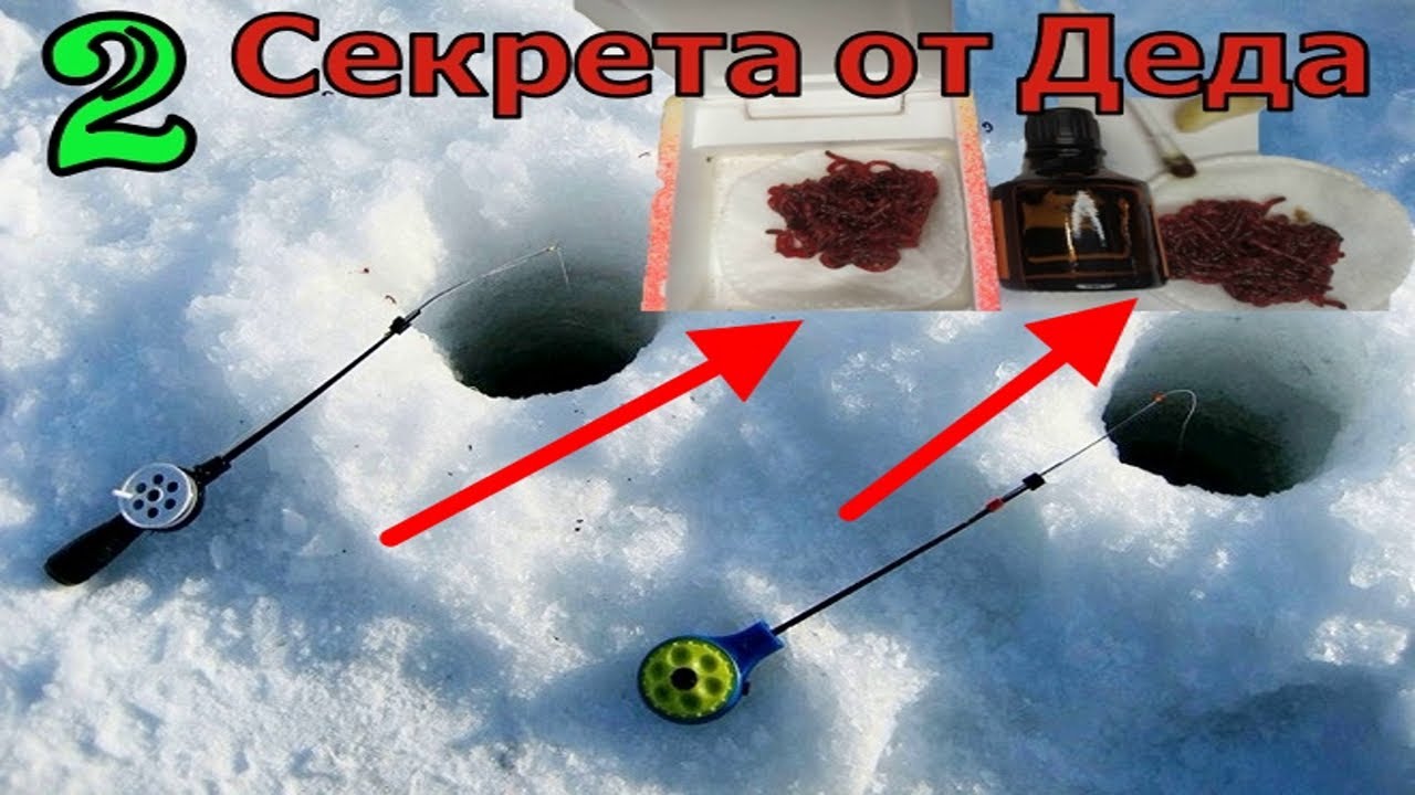 Простой мотыль больше не беру. Дед рыбак втихаря рассказал 2 секрета ...