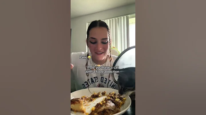 Video 10452481: cat funny pets food