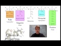 Conjugated protein Meaning