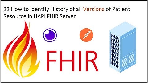 22 How to identify History of all Versions of Patient Resource in HAPI FHIR Server