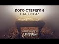 5. Кого стерегли пастухи? – Серия «Неизвестная история Рождества»