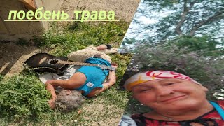 Поебень Трава