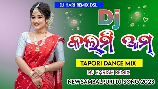 କଲମି ଆମ୍ || Kalmi Aam || Tapori Dance Mix || Dj Hari Remix Dsl