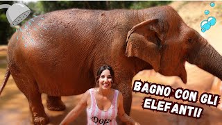 BAGNO NEL FANGO CON GLI ELEFANTI! *elephant care Phuket*