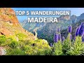 Top 5 Wanderungen auf Madeira