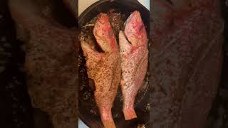 Fried fish. Red snapper