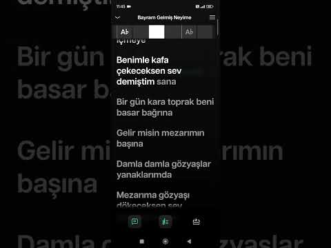 Ankaralı Namık memlekette