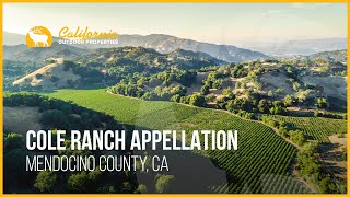 Property link:
https://www.californiaoutdoorproperties.com/listing/cole-ranch-appellation
at 150 acres with 56 planted, it’s by far the smallest appell...