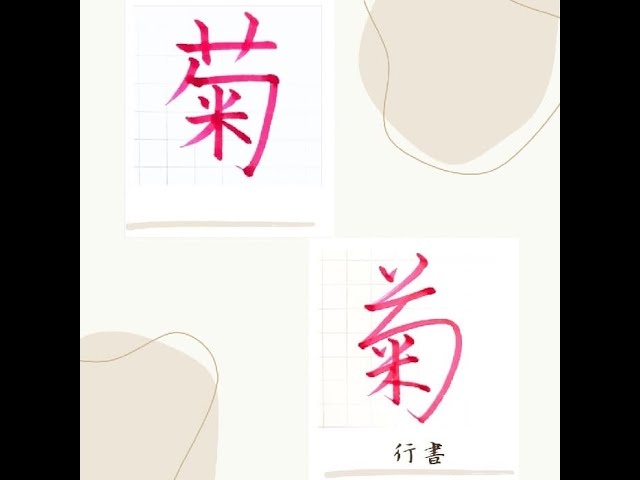 硬筆・ペン習字】「菊」（楷書と行書）の書き方と練習のコツ・お手本