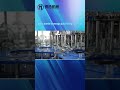Glass bottle beverage juice filling machine