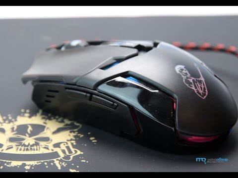 Первый взгляд на мышь Qumo Dragon War Pike