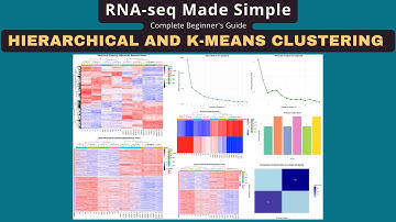 RNA-Seq Data Clustering Tutorial: Hierarchical & K-Means Analysis for Beginners
