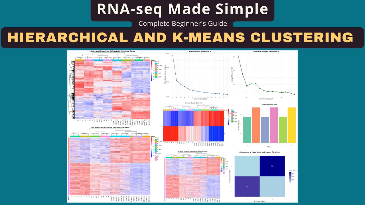 Cluster RNA-seq Genes: Hierarchical & K-Means Methods - YouTube