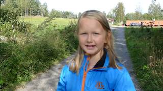 Швеция, Оребру - далеко, далеко ускакала в поле молодая лошадь (детская песня, ремикс под видео)