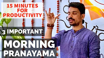 15 MINUTES PRANAMAYA | MORNING PURIFICATION PRANAYAMA | PRANAYAMA FOR BEGINNERS