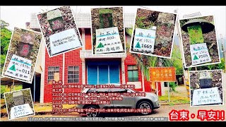 西林林道(林田山)+紅石林道(紅石四山)+西村林道(平林山)三日行(花蓮台東-萬榮關山)