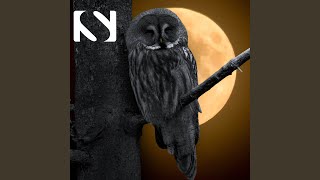 Download Lagu Different Night (Owl Sounds) (feat. Nature Sound Series) Download Lagu Different Night (Owl Sounds) (feat. Nature Sound Series)