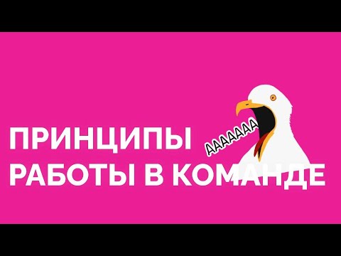 Принципы работы в команде | Школа Кураторов 2023