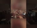 BATMAN vs SCAREcrow: Can You Survive?! #shorts