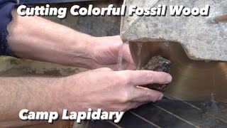 Looking At and Cutting Colorful Fossil Wood by Camp Lapidary 289 views 1 month ago 19 minutes