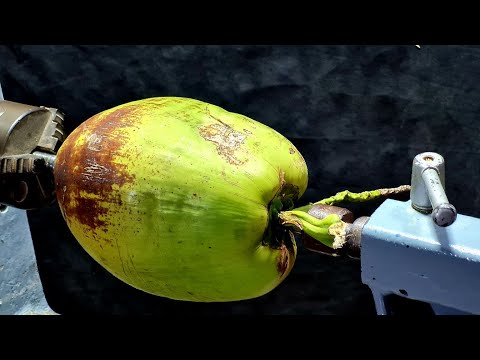 Video: Kokosnuss-Kronleuchter